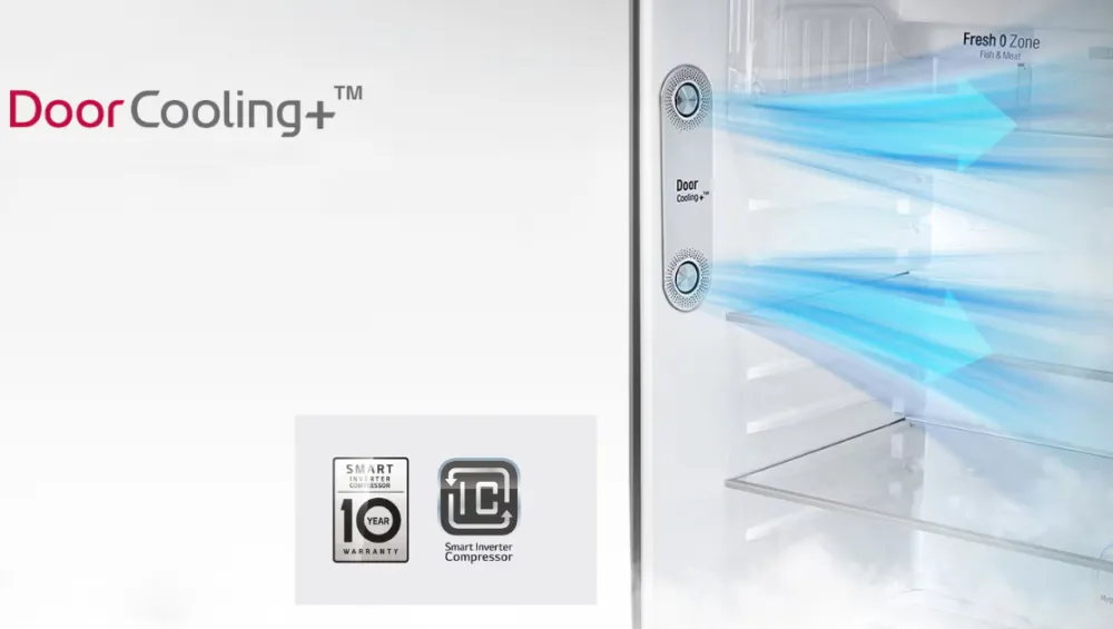 Features to Look for in Modern Refrigerators