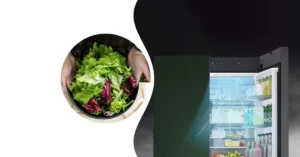 5 Smart LG Fridge Features You Need to Know for a Modern Home in 2025