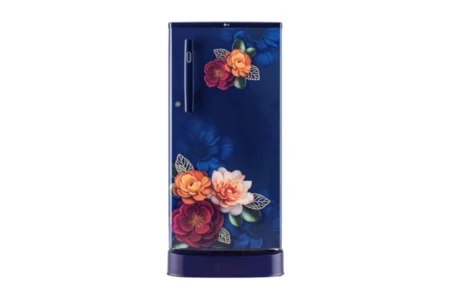 GL-D199OBKD Refrigerator