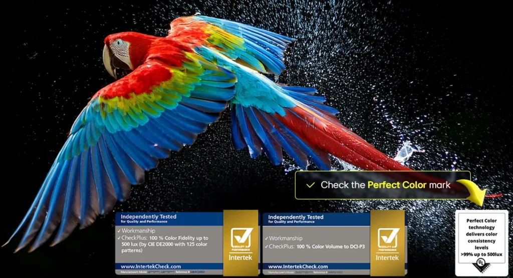 oled-c5-2025-06-feature-perfect-color-d
